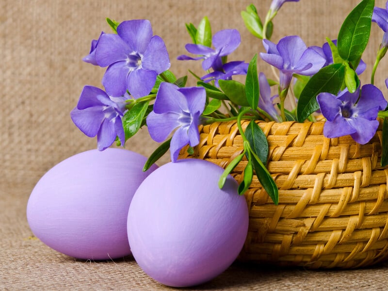 Натріть це на великій тертці – і крашанки стануть бузкового кольору. Лайфхак, як без хімії пофарбувати яйця на Великдень