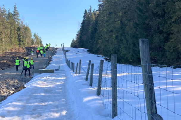 Фінляндія готується вийти з конвенції про заборону протипіхотних мін: у чому причина
