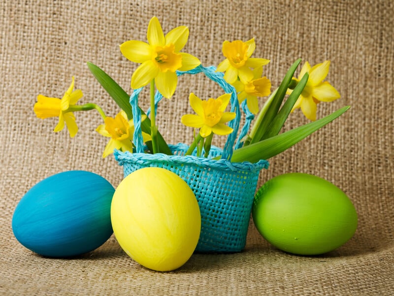 Полийте цим фарбовані яйця і вийде магія. Лайфхак, як приготувати яскраві крашанки на Великдень Полийте цим фарбовані яйця і вийде магія. Лайфхак, як приготувати яскраві крашанки на Великдень