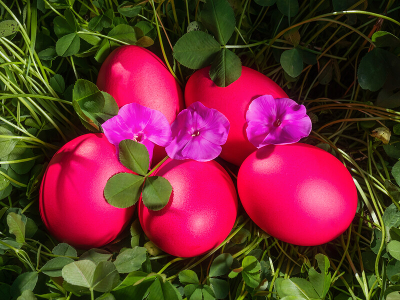 Крашанки набудуть яскравого рожевого кольору за допомогою цього продукту. Деталі й нюанси фарбування