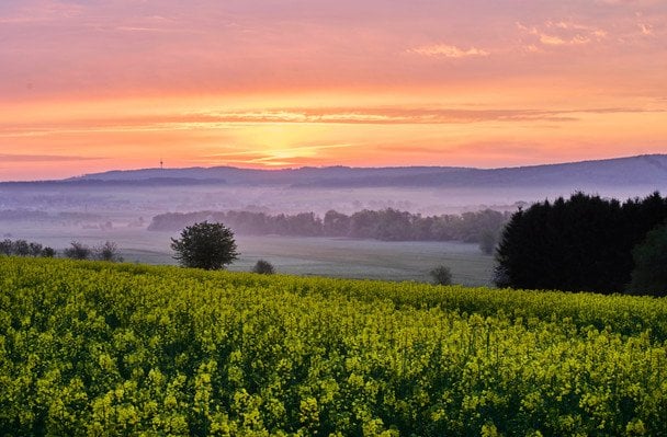 Якою буде погода у травні: чи вдарять заморозки