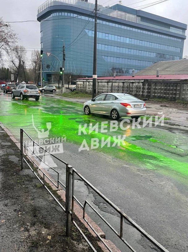 У Києві позеленіла ціла вулиця: що сталося