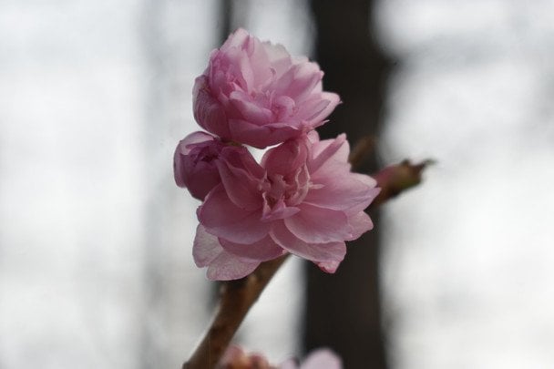 День ангела 10 квітня: кого та як вітати з іменинами