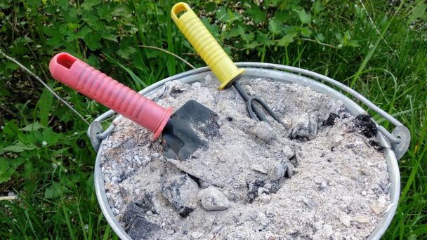 Попіл під картоплю: коли, скільки і як вносити добриво правильно