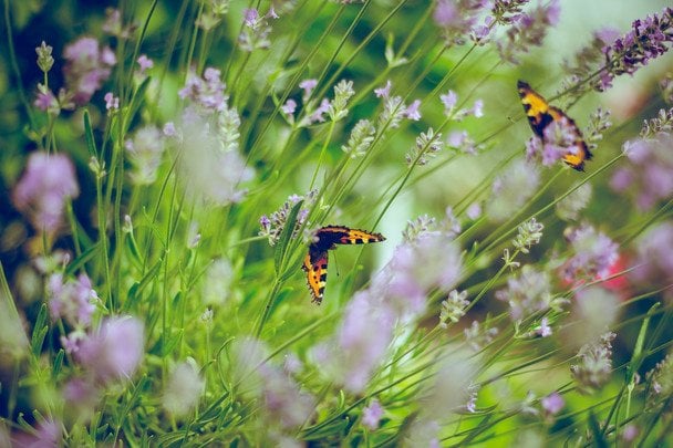 Синоптики оновили прогноз погоди на сьогодні, 22 квітня