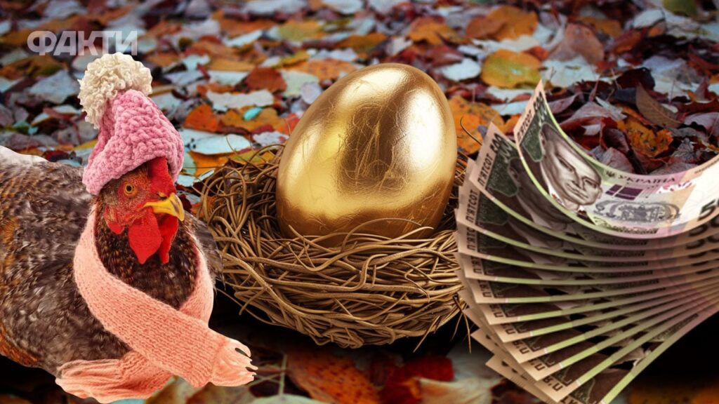 Тенісистка знепритомніла на корті під час матчу WTA у Колумбії