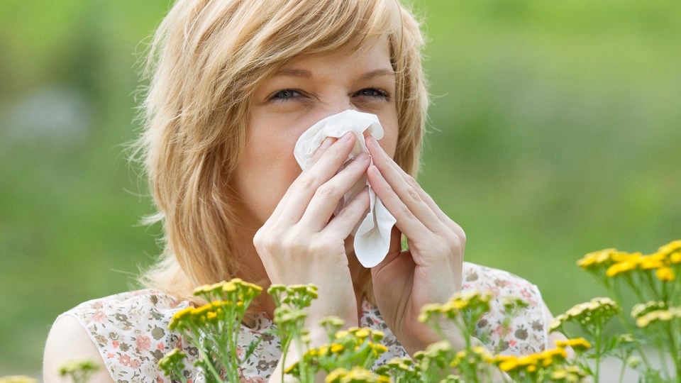 Як зміна клімату впливає на сезонну алергію – учені