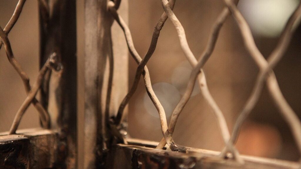 Гендерна радниця ЗСУ: жінки-військові після полону залишаються надзвичайно вразливою групою