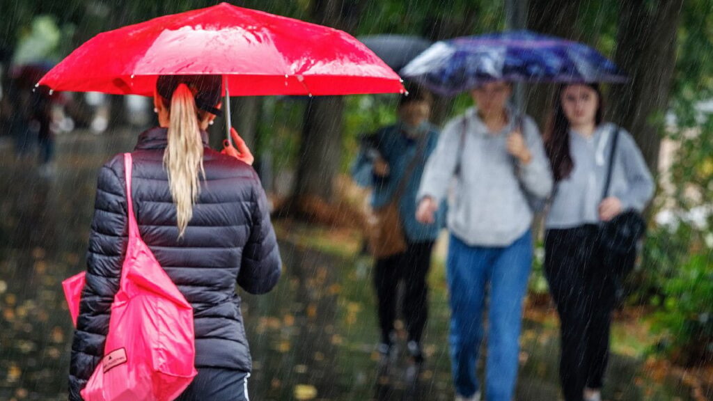 На ТОТ Запорізької області людей лікують випускники фейкових медвишів “ДНР”