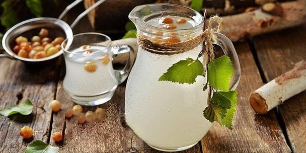 Як приготувати квас з березового соку: найкращі рецепти