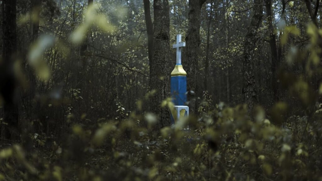 На Тернопільщині розпочали ексгумацію польських жертв Волинської трагедії
