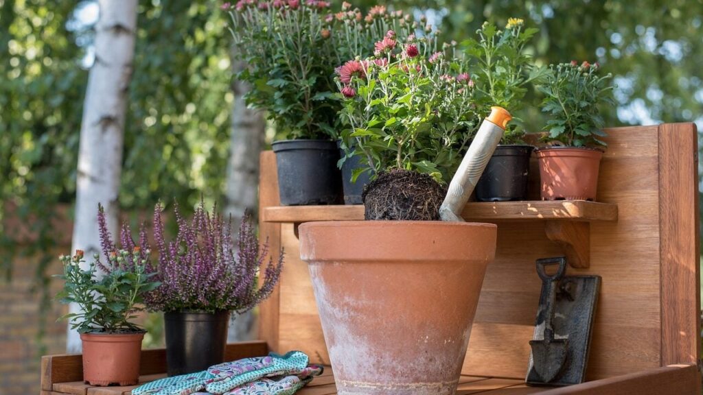 Усього 30 хвилин робіт у саду збалансують гормони та знімуть стрес – вчені