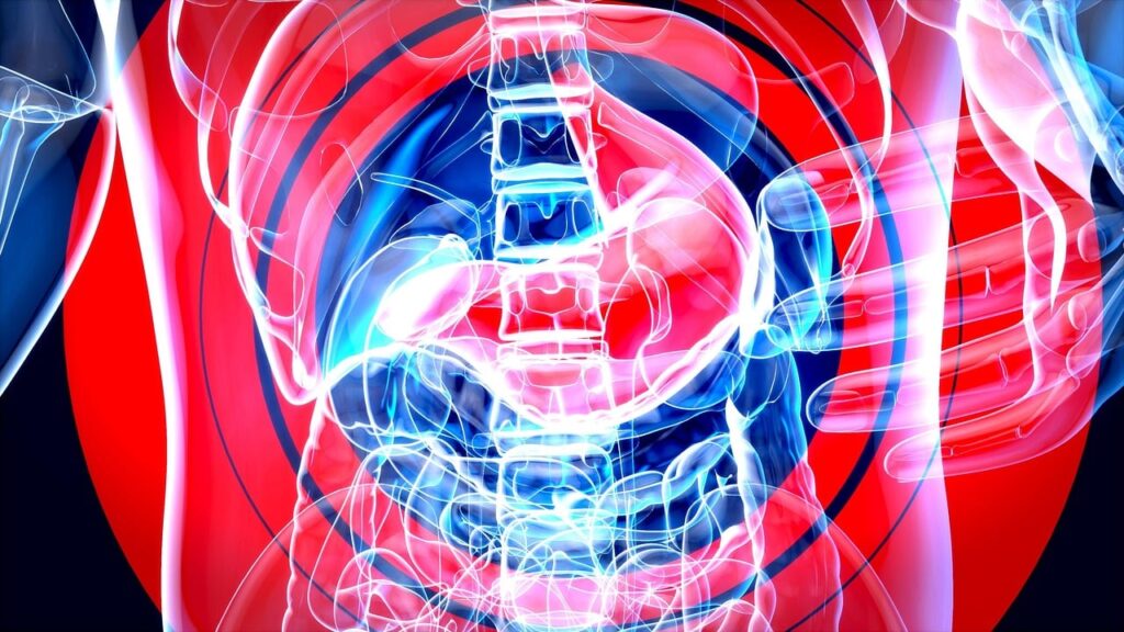 Як кишкові бактерії можуть впливати на ліки – дослідження