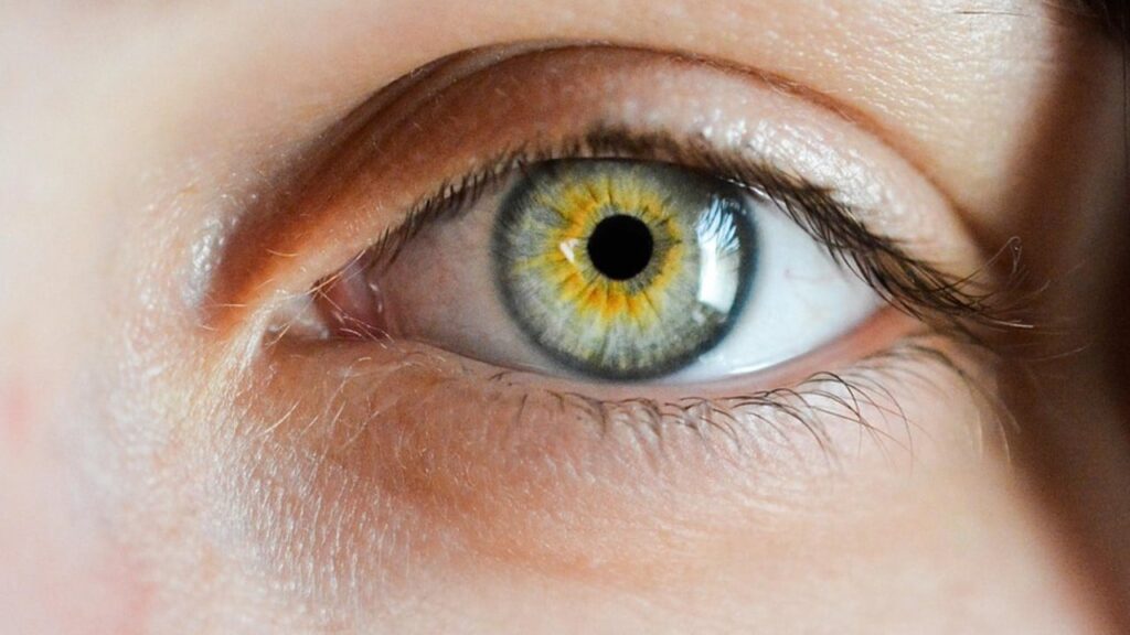 Новий метод відновлення зору дає змогу бачити колір, якому у природі немає аналогів