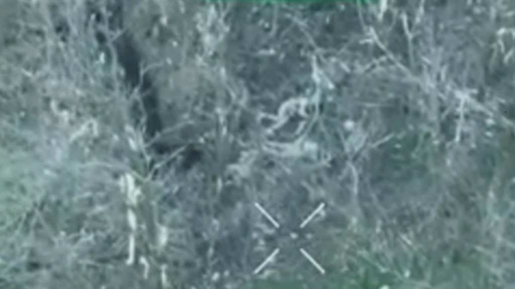 Був беззбройний: окупанти розстріляли полоненого ЗСУ на Донеччині