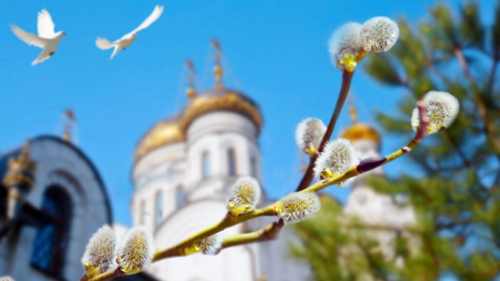 Що робити з освяченою вербою після свята: пояснення священника ПЦУ