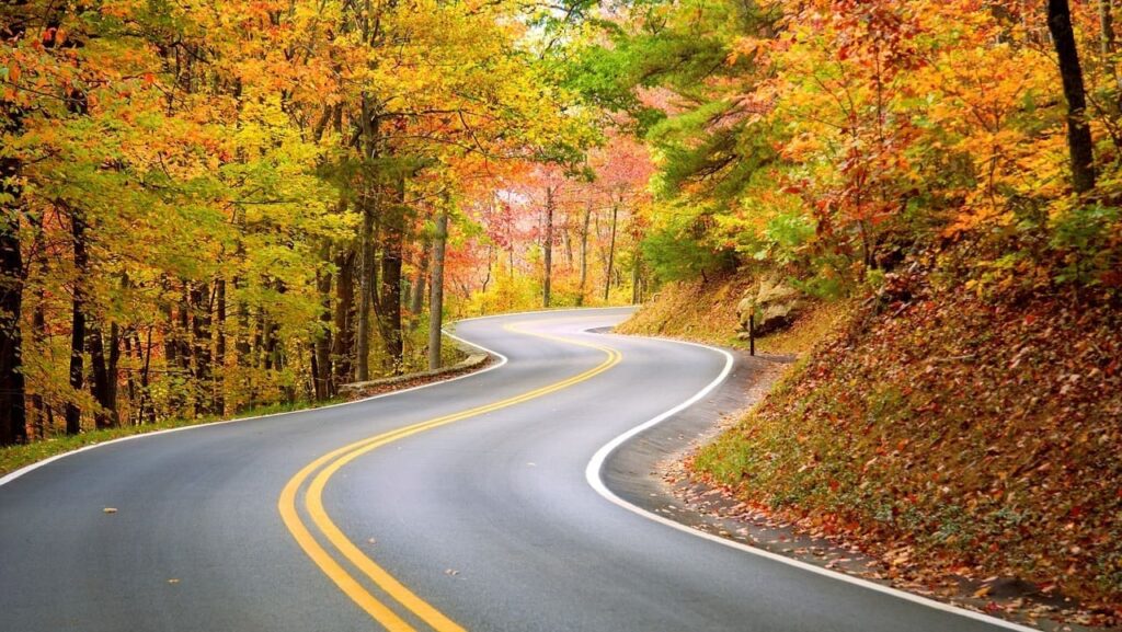 Штраф за подвійну суцільну: скільки доведеться заплатити у 2025 році