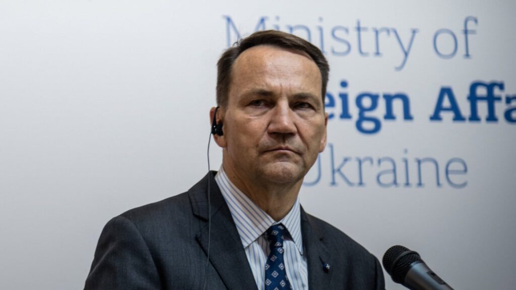 Польща не відправлятиме своїх миротворців в Україну, але допоможе у цьому питанні – Сікорський