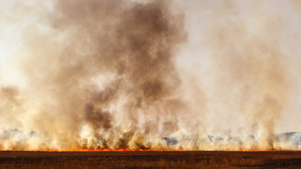 Штрафи та в’язниця: українцям нагадали про відповідальність за спалювання сухої трави