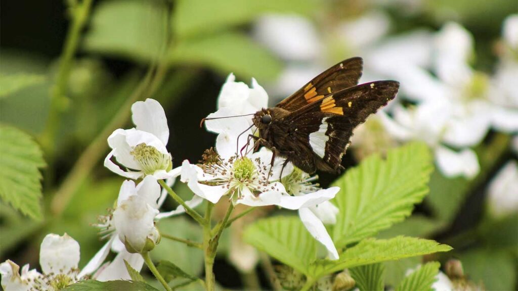 Яке свято 14 квітня та чому не варто купувати нові речі