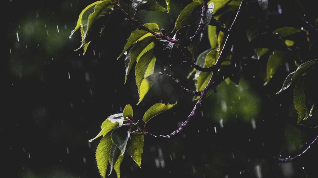 Яке свято 24 квітня та кого заборонено пускати в дім