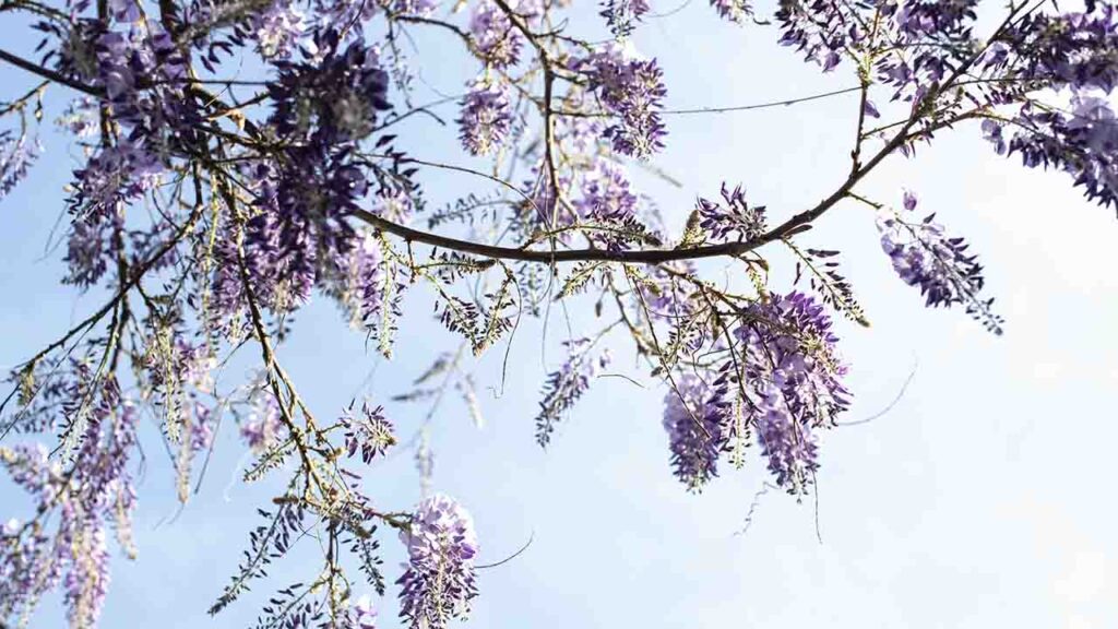 Яке свято 30 квітня і чому не варто вирушати в далеку дорогу