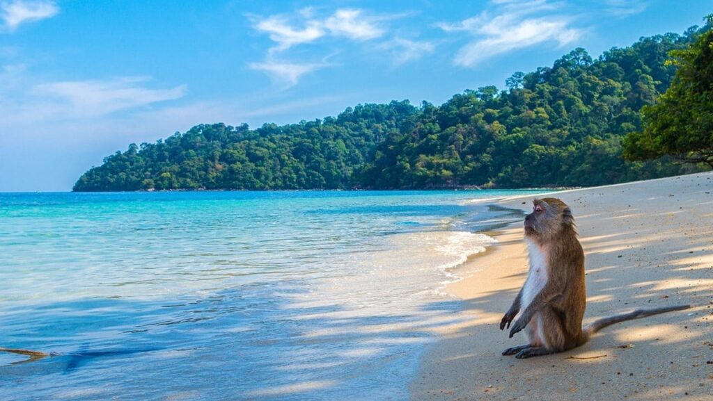 У Таїланді п’ятеро людей загинули внаслідок авіакатастрофи