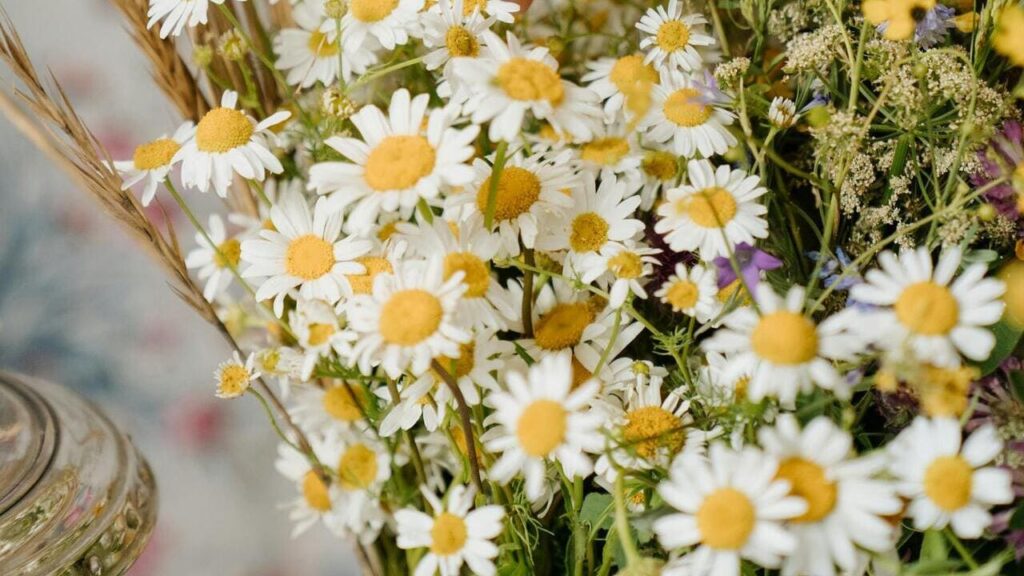 Коли в Україні святкуватимуть Трійцю у 2025 році: дата та традиції