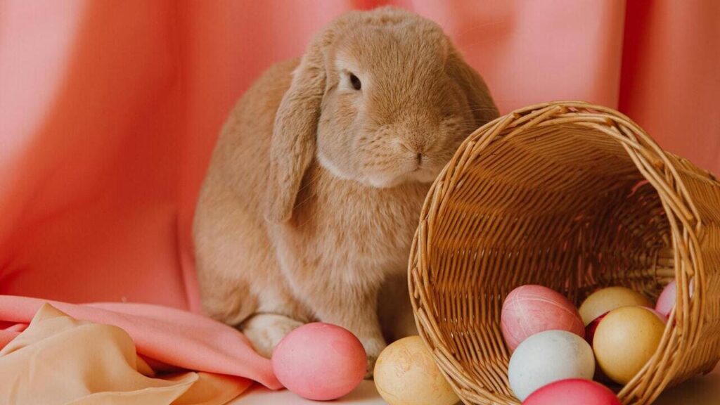 Пошуки кролика та полювання на яйця: як святкують Великдень 2025 у США