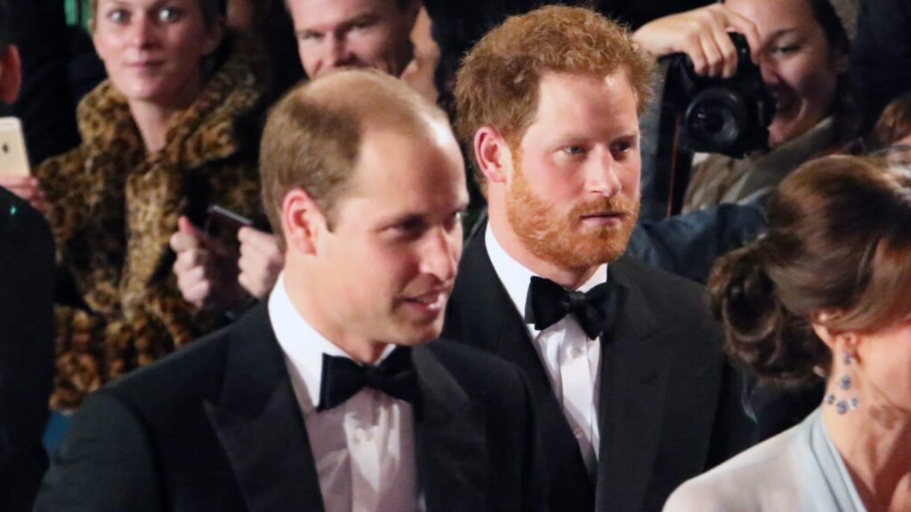 Принца Вільяма обурив візит принца Гаррі в Україну: у чому причина