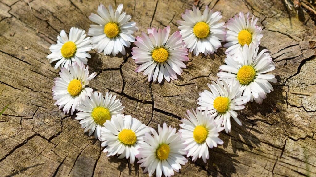 Швидка ходьба істотно знижує ризик розвитку аритмії — дослідження