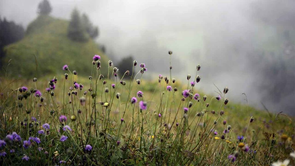 Яке свято 10 квітня і в кого варто попросити пробачення