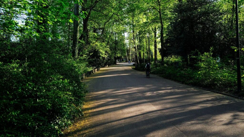 Яке свято 17 квітня 2025 та що таке “вмиватися сріблом”