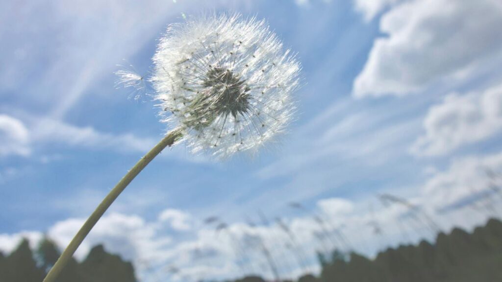 Яке свято 25 квітня 2025 року і яку силу має вода цього дня