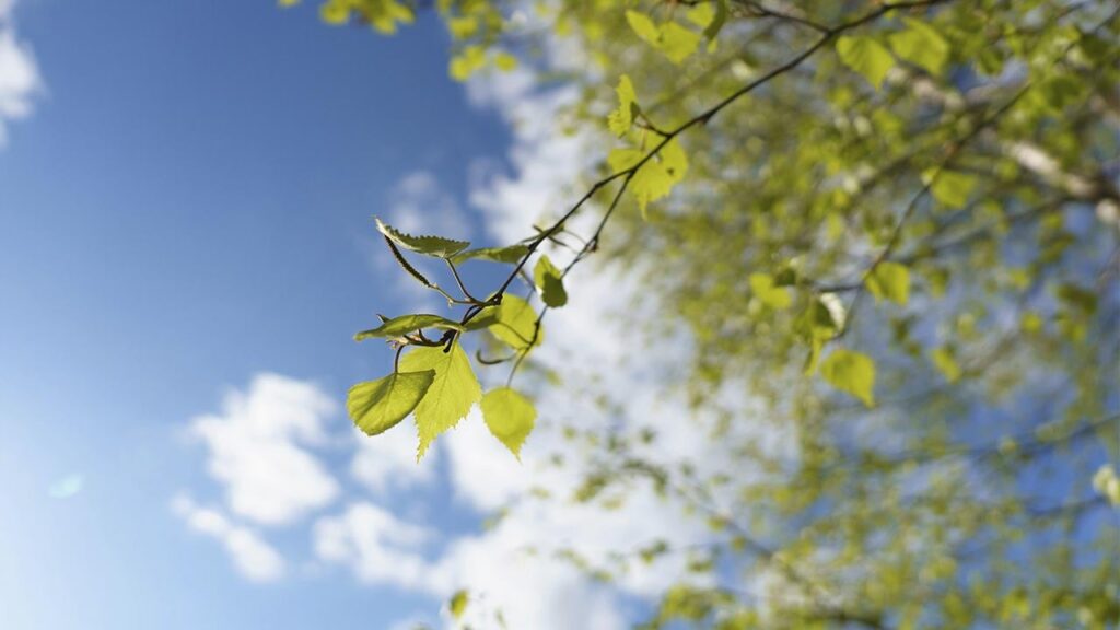 Яке свято на 6 квітня та як не накликати на себе біду