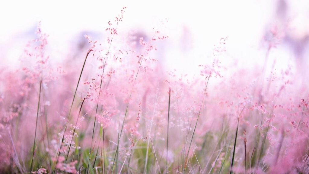 Яке свято 9 квітня 2025 року та що не можна вдягати цього дня