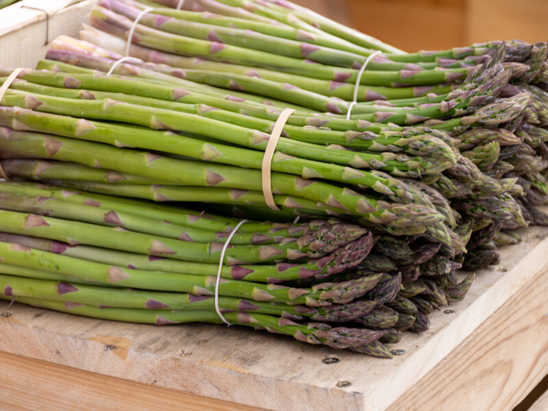 Якщо резинка тримає паростки саме так – вони вже не першої свіжості. Поради, як вибрати найкращу спаржу