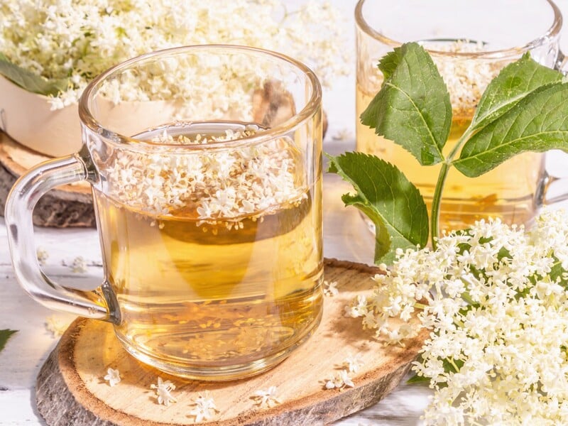 Змішайте бузину й воду в цих пропорціях – і отримаєте смачний квас. Рецепт освіжного напою