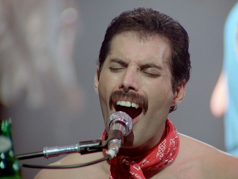 "Це стане шоком для мільйонів". Таємна дочка Фреді Мерк'юрі розповіла історію свого народження