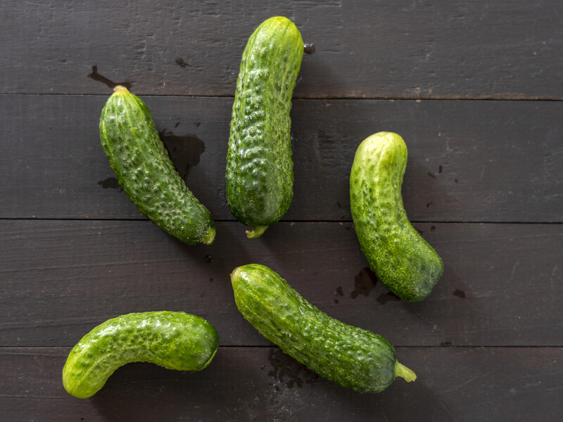 "Наробити помилок можна вже на самому старті". Городники пояснили, чому огірки ростуть кривими