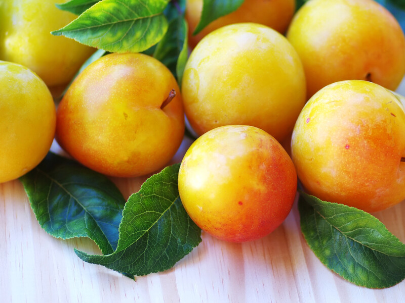 Жовті сливи є добрим варіантом для саду. Поради з догляду