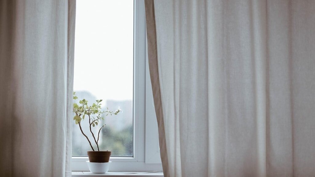 Вчені виявили зв’язок між денним світлом, інфекціями та імунітетом