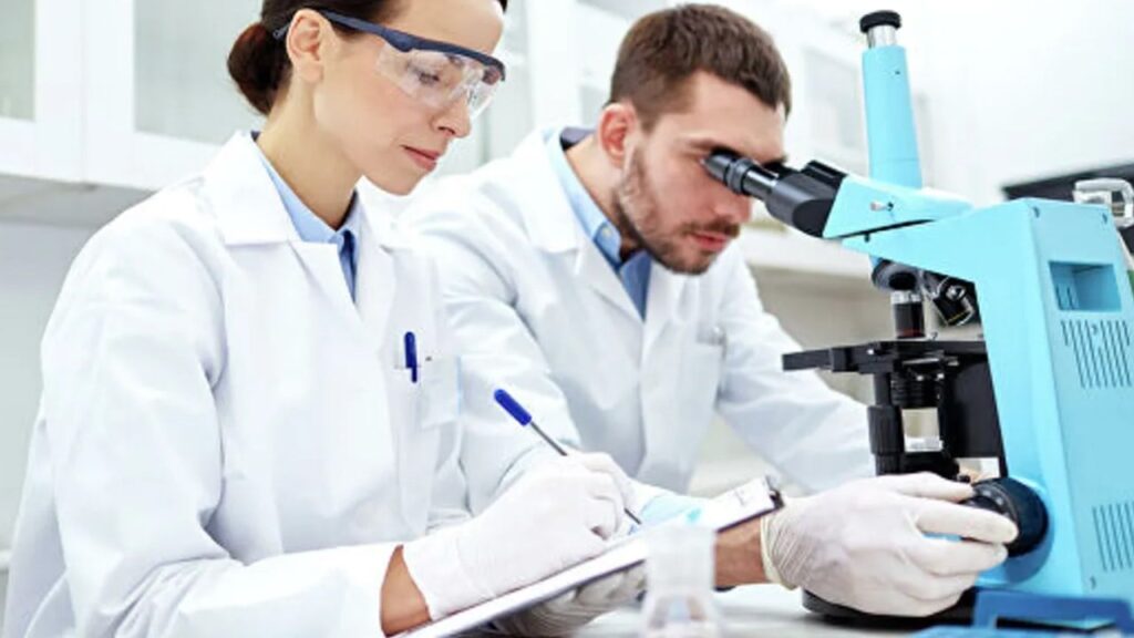 Новостворена форма антитіл може врятувати онкохворих – дослідження