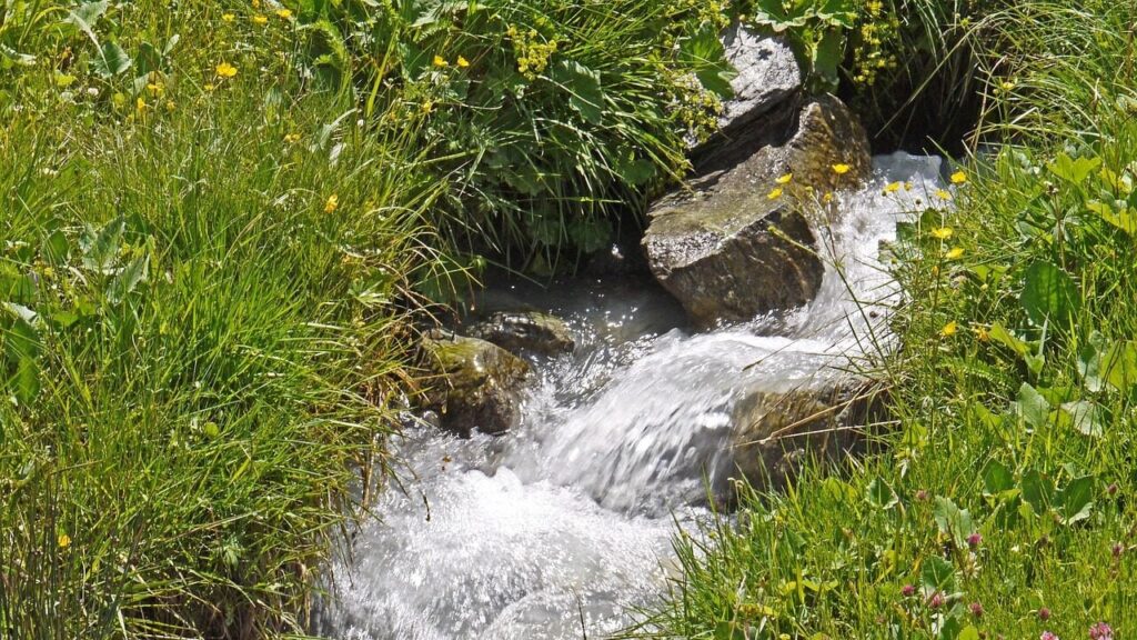 Попив води з гірського джерела: на Львівщині рятують 60-річного чоловіка з гепатитом А