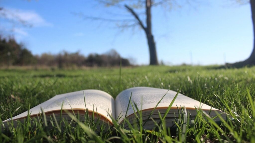 Коли останній дзвоник у Сумах у 2025 році