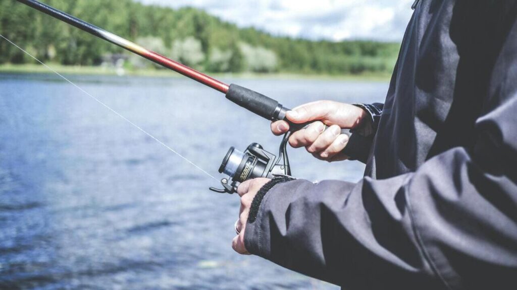 Нерестова заборона 2025: терміни та правила риболовлі