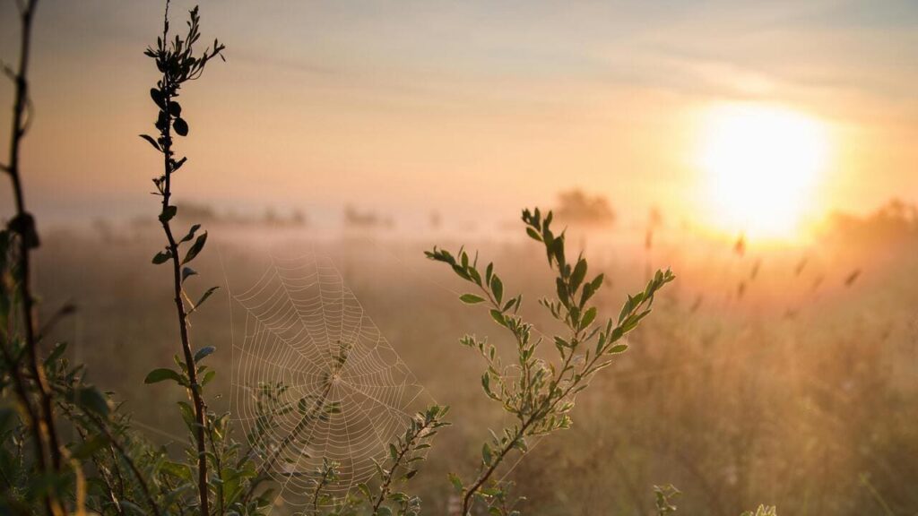 Шалена спека чи зливи: кліматолог розповіла про погоду на літо 2025 року