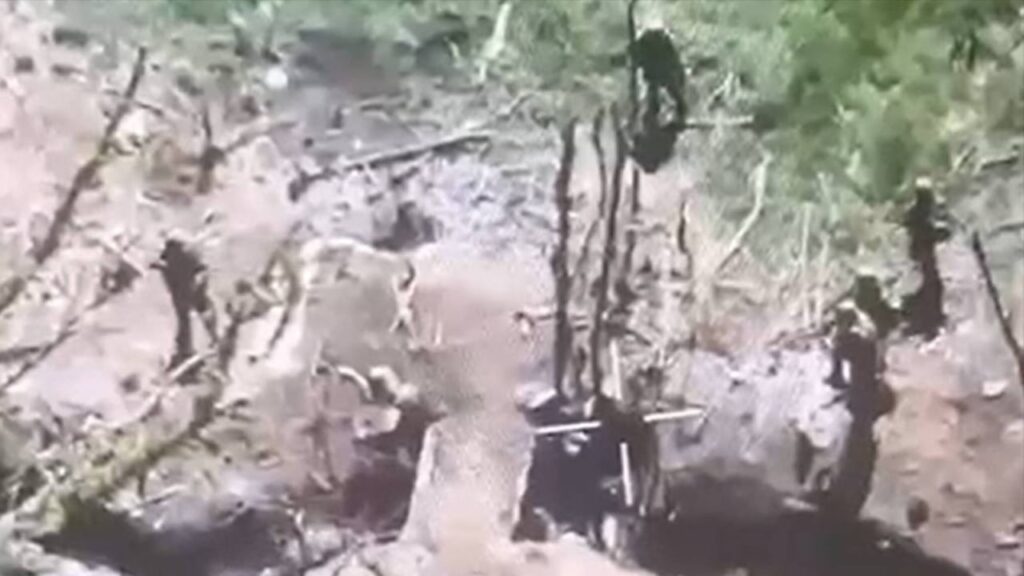 У Донецькій області росіяни розстріляли трьох полонених військових ЗСУ