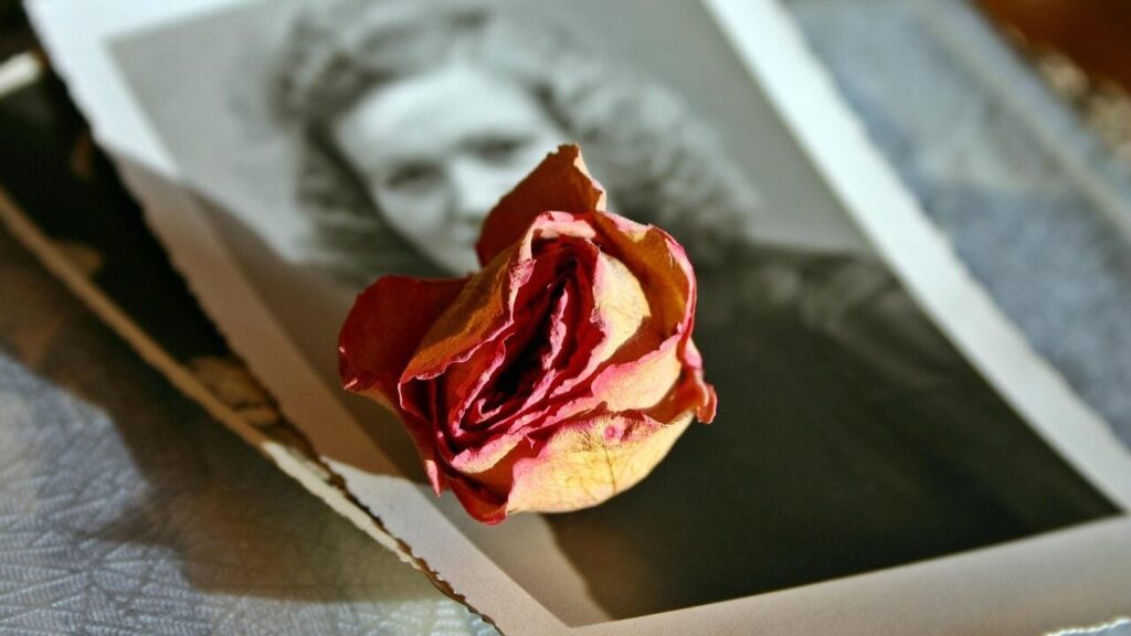 Учені створили ШІ, який діагностує хвороби за фото з високою точністю