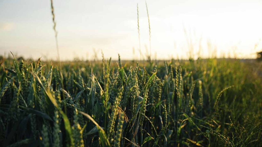 Яке свято 16 травня та чому сьогодні не варто вживати алкоголь